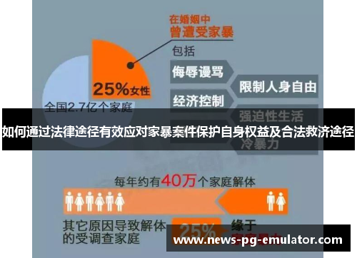 如何通过法律途径有效应对家暴案件保护自身权益及合法救济途径