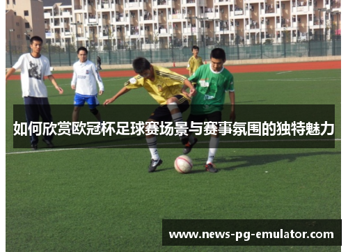 如何欣赏欧冠杯足球赛场景与赛事氛围的独特魅力