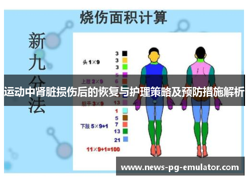 运动中肾脏损伤后的恢复与护理策略及预防措施解析