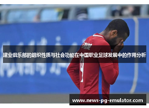 建业俱乐部的组织性质与社会功能在中国职业足球发展中的作用分析