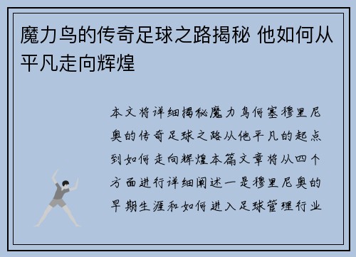 魔力鸟的传奇足球之路揭秘 他如何从平凡走向辉煌